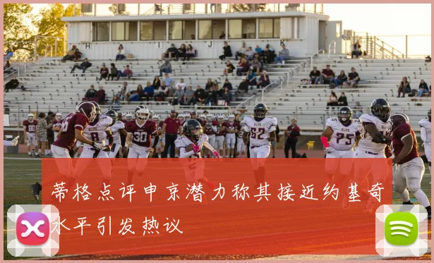 蒂格点评申京潜力称其接近约基奇水平引发热议