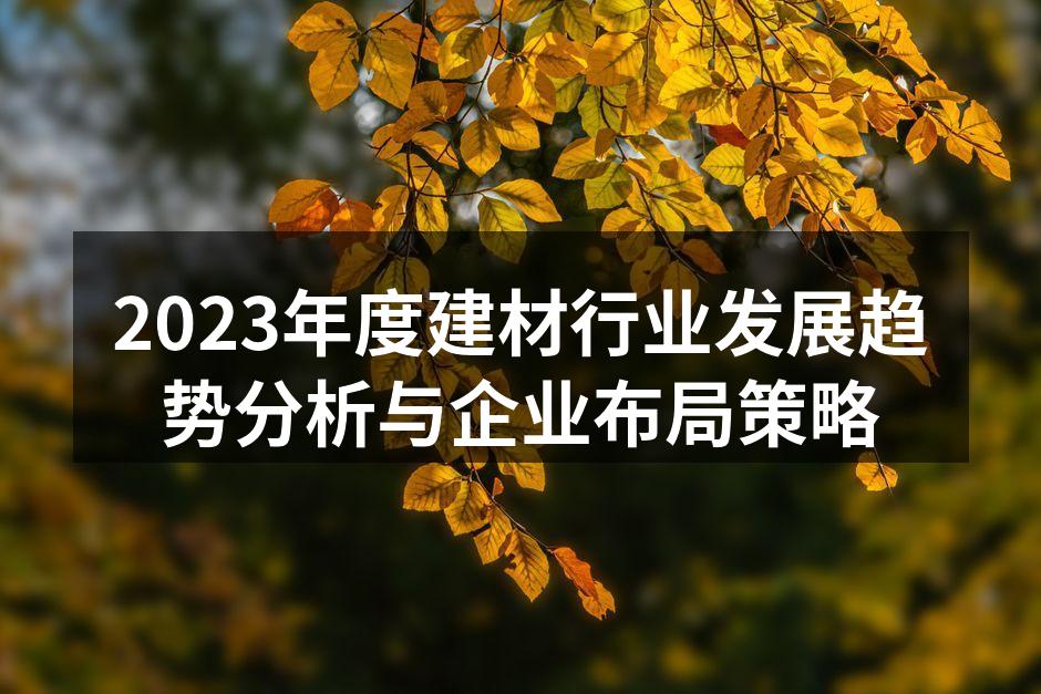 2023年度建材行业发展趋势分析与企业布局策略