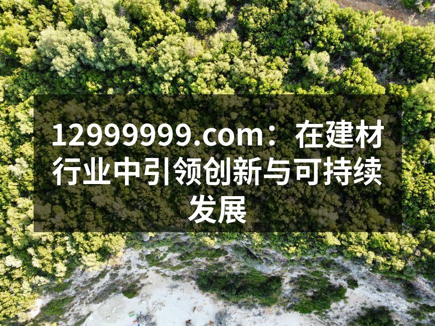 12999999.com：在建材行业中引领创新与可持续发展