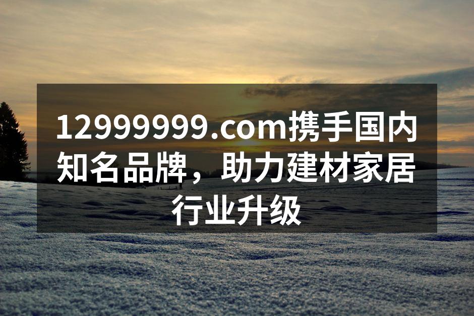 12999999.com携手国内知名品牌，助力建材家居行业升