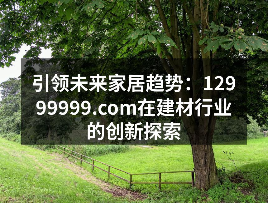 引领未来家居趋势：12999999.com在建材行业的创新探